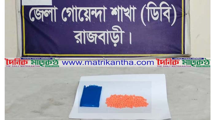 রাজবাড়ীতে ডিবির অভিযানে ১৮০পিস ইয়াবাসহ নারী মাদক বিক্রেতা গ্রেপ্তার